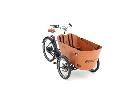 BABBOE FLOW MOUNTAIN 500Wh